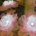 avatar 𝓜𝓪𝓻𝓼 ˗ˋˏ ♡ ˎˊ˗