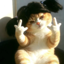 avatar 𝓜𝓮𝓵𝓸𝓷💚