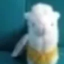 jacobrei