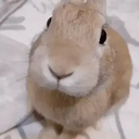 kesoku_1234