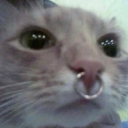 avatar caro