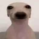 kthropic