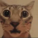 mihopb2