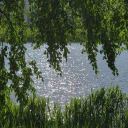 avatar funnydisposition