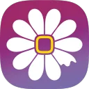 daizy_invest1765