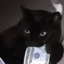 .1finity