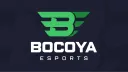 BOC Sports & Entertainment banner