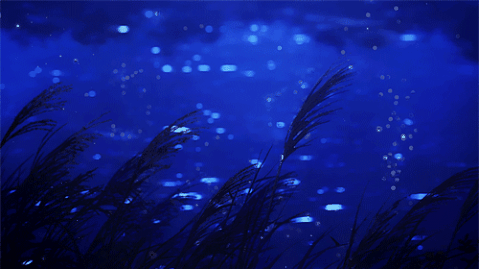 ` ﹒ocean’s epiclese ﹒⟢﹒ banner