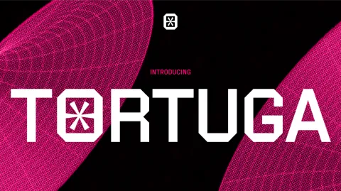 Tortuga Finance banner