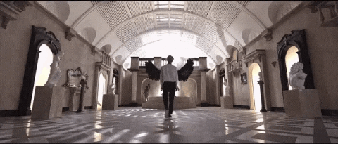 wings ࿐ ˚. banner