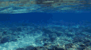 Blurr banner