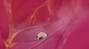 Unseeable Gut banner