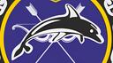  Submarine «Zaporizhzhia» Banner