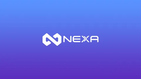 Nexa Studio ® banner