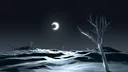 神 Kami banner