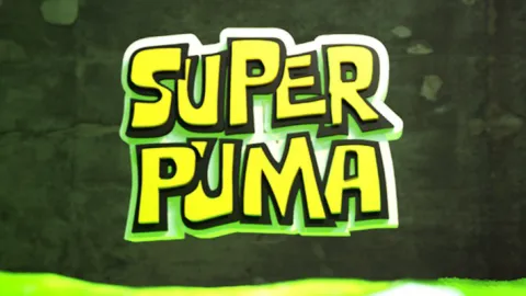 PUMA banner