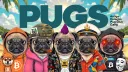Pugs banner