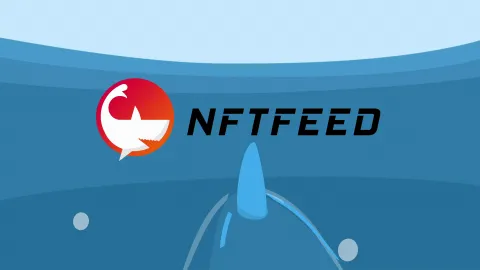 🦈 NFTFeed 🦈 Discord server banner