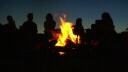 Our Bonfire Tree Banner