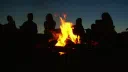 Our Bonfire Tree Discord server banner