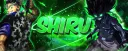 banner