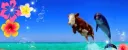 banner