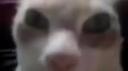 Gubbin Games Banner