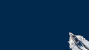 Looksmax.Br Banner