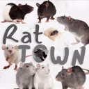 Rat Town Banner