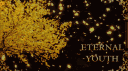 Eternal Youth [EY] banner