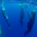 \\\\\\\\\\\\\\\\\\\\\\\ server banner