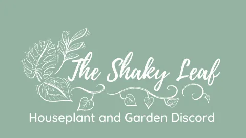 The Shaky Leaf banner