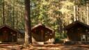 🪲 • camp aphi ⋆｡˚ Banner