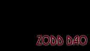 Zodds CS Trading Banner