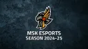 MSK Esports banner