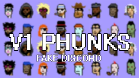 V1 Phunks banner