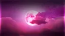 𝙳𝙸𝚂𝙲𝙾𝚁𝙳 𝚁𝙾𝚂𝙰 🌷 banner