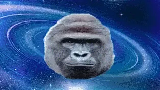 Gorilla Central banner