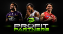 ☰☰☰ PROFIT PARTNERS 💎 Discord server banner