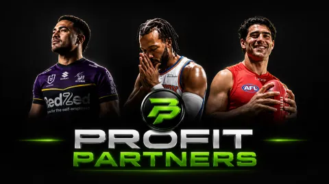 ☰☰☰ PROFIT PARTNERS 💎 banner