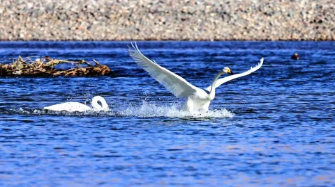 冰火岛期权Club Discord server banner