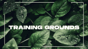 The Training Grounds banner