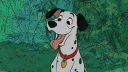 OdiesDoghouse banner