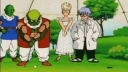 Capsule Corporation banner