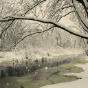 Those who Bloom and Those w... banner