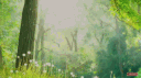 Moonlight Oasisまどか☆マギカ banner