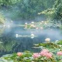 -ˋˏ ꜱᴏʟꜱᴛɪᴄᴇ ˎˊ- Banner