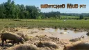 Wretched Mud Pit banner