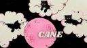 𝐂𝐚𝐧𝐞 ୨ৎ banner