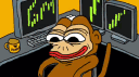 Daily TRADING CO. India banner